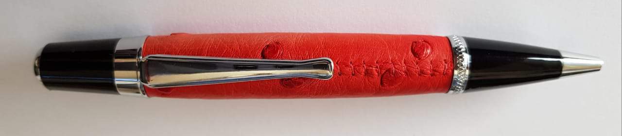 Executive ostrich pen with leather